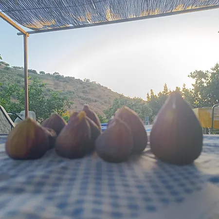 Rural Casa Aguila Con Piscina Privada 6 Personas * Los Valverde