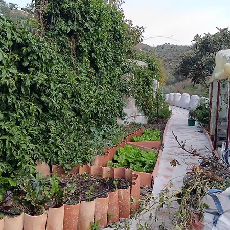 Rural Casa Aguila Con Piscina Privada 6 Personas * Los Valverde